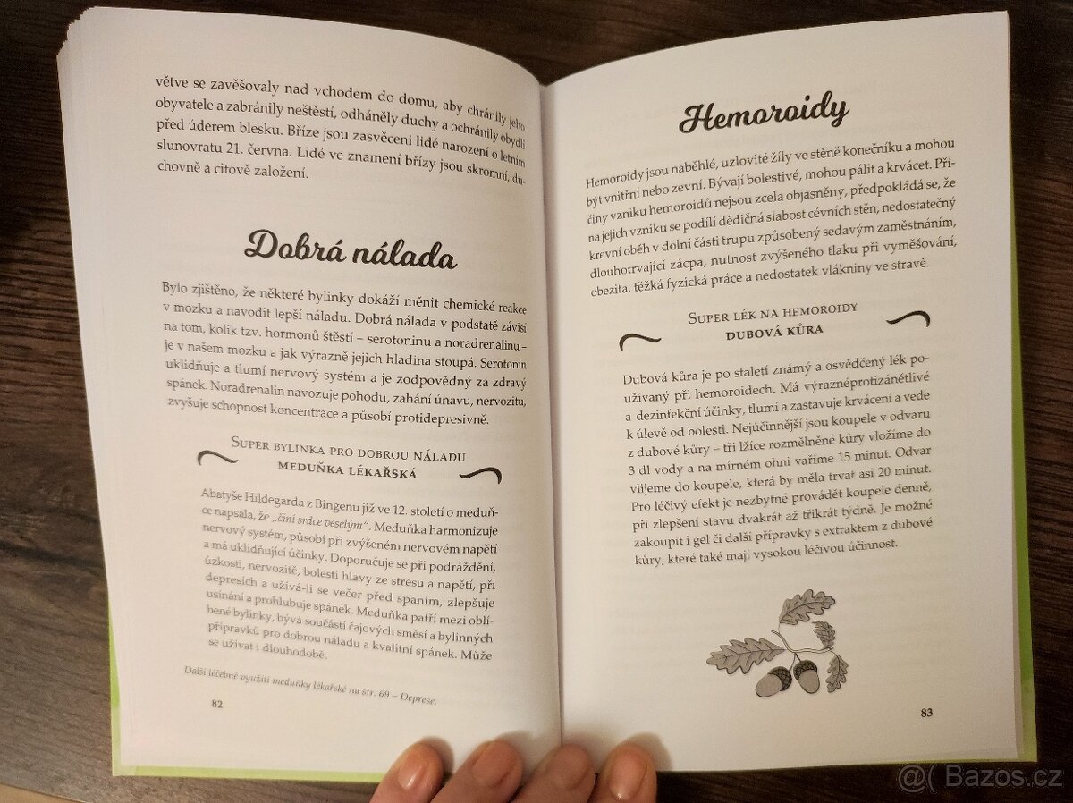 Bylinky - léčivá moc přírody - Jarmila Mandžuková - 3