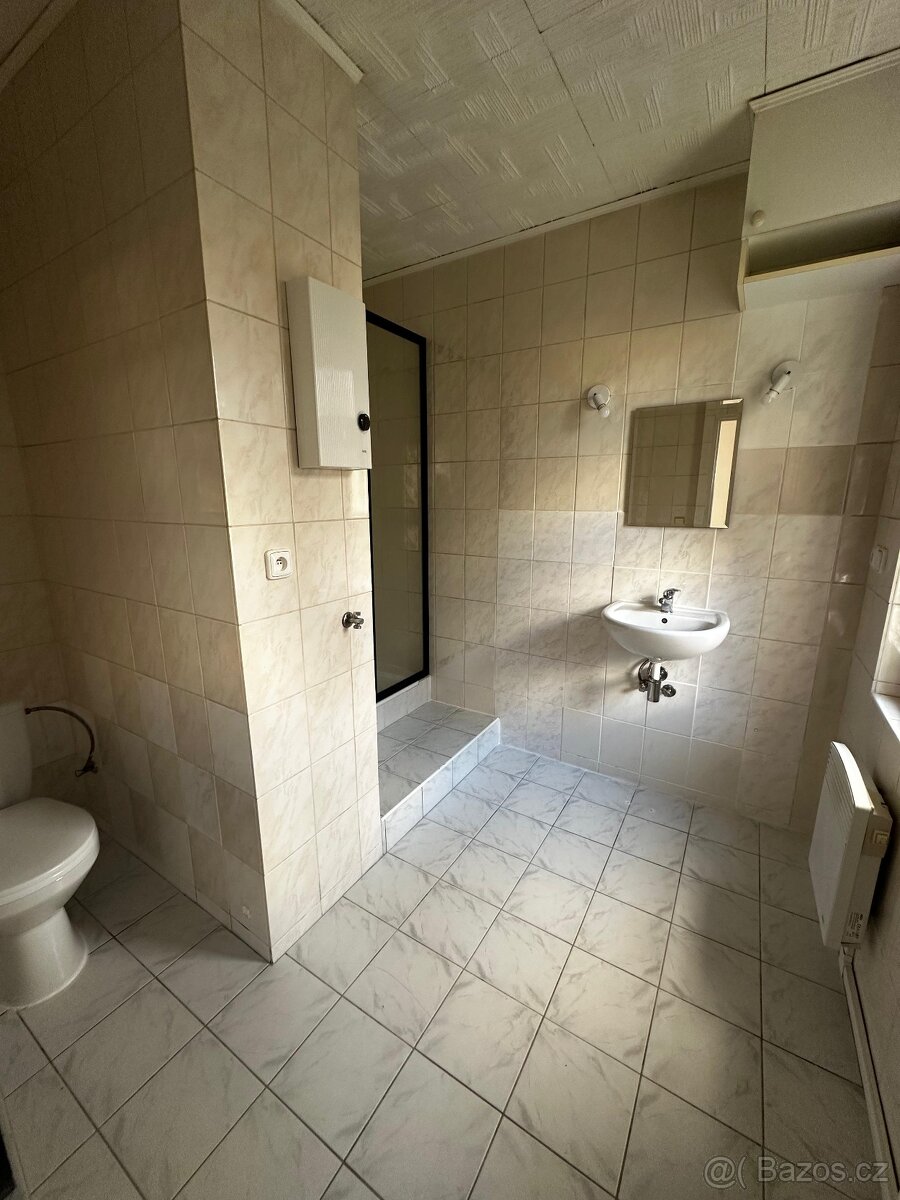 Pronájem bytu 1 + 1 - 3