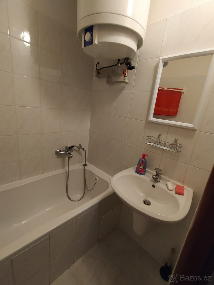 Pronájem bytu 3+1 ul. Družstevní, Velké Meziříčí - 3