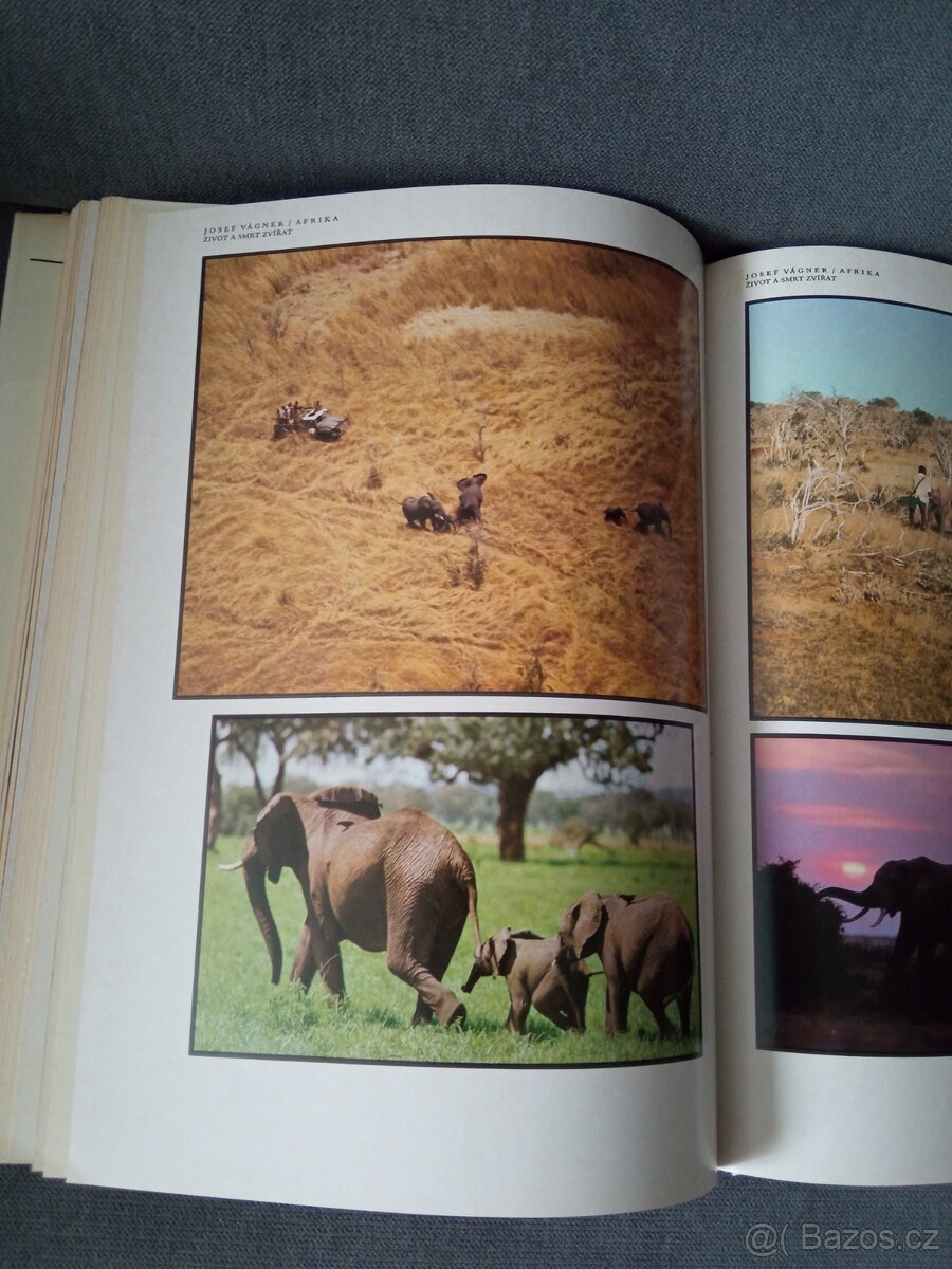 J.Vágner -Afrika - 3
