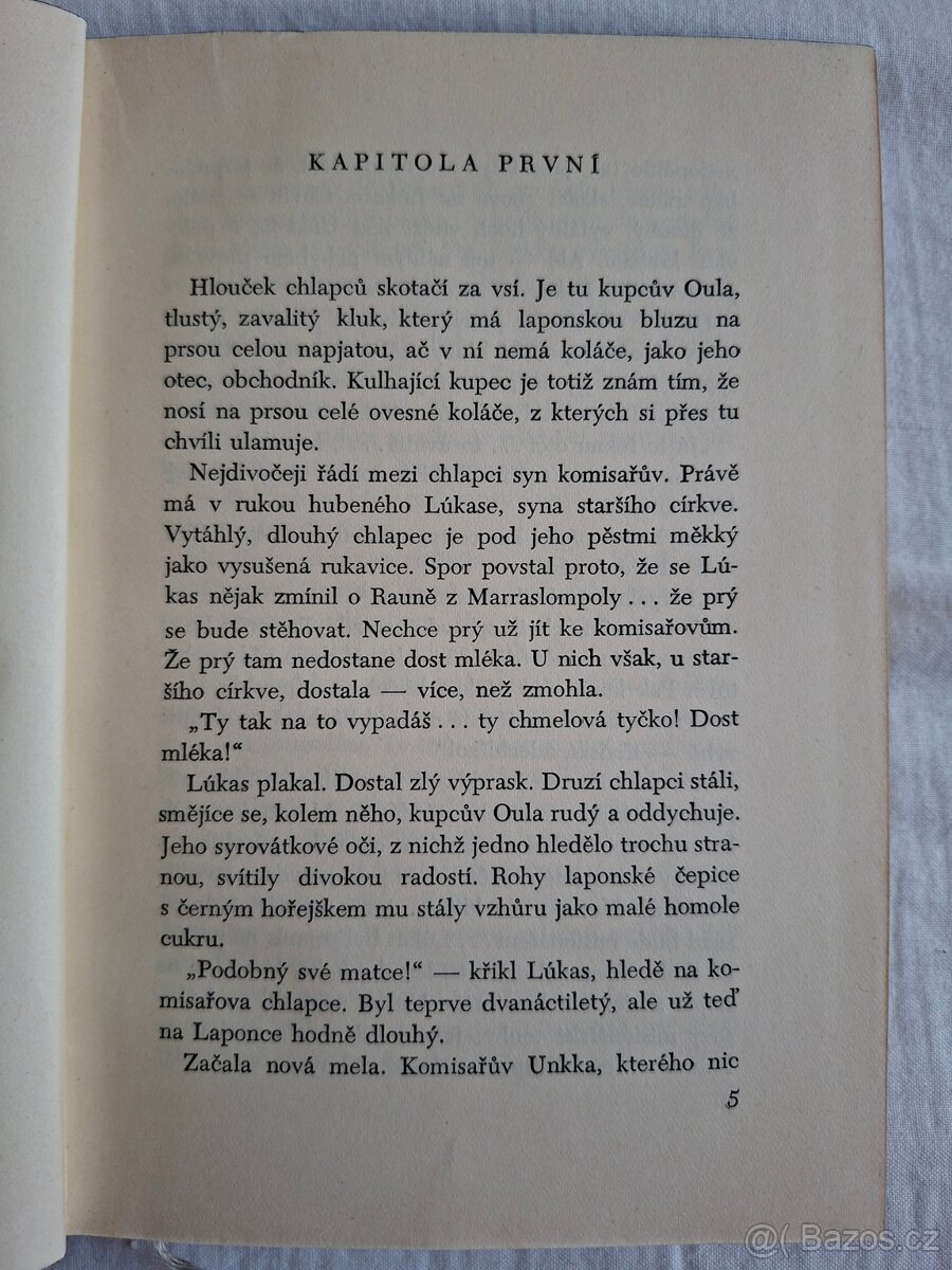 Opuštěná ves - Arvi Järventaus - 3