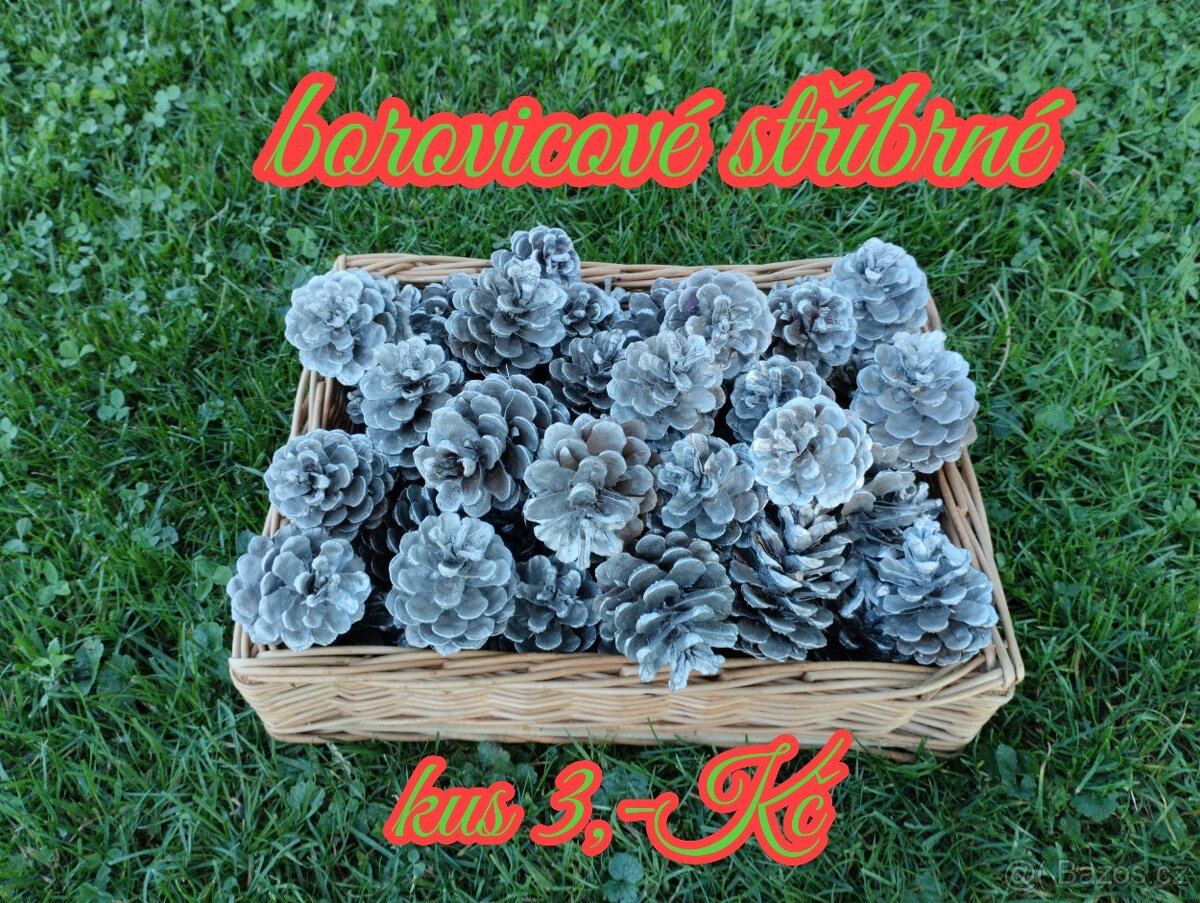 Borovicové šišky - 3