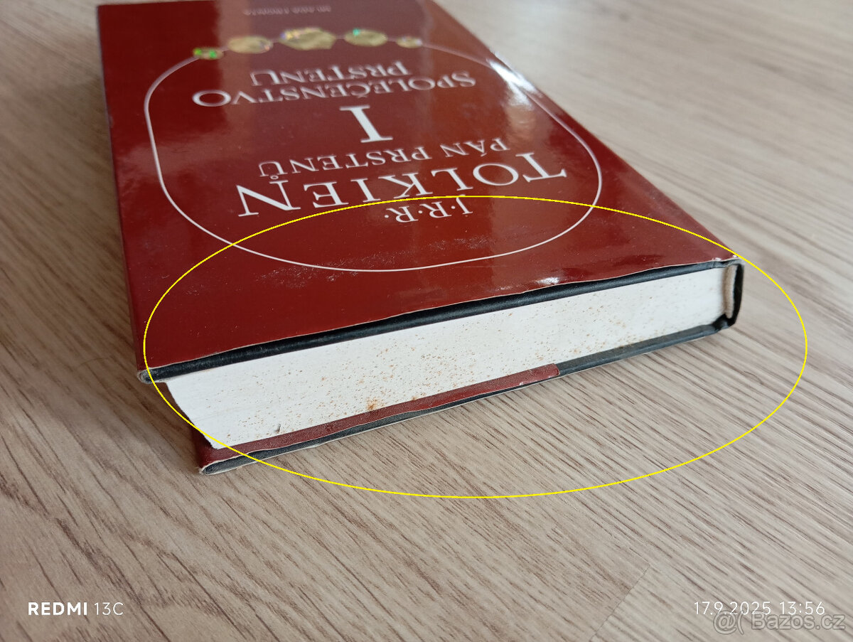 Pán prstenů : Společenstvo prstenu - I - 3