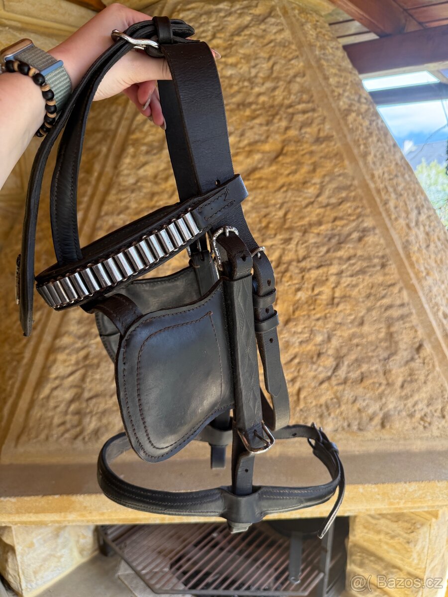 2x Vozová uzdečka - 3