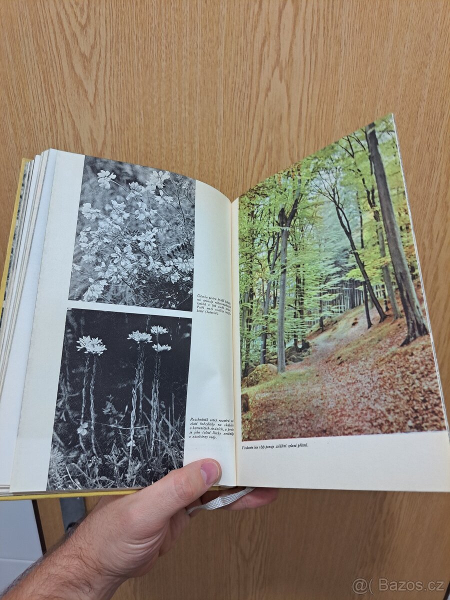 Mladým lovcům - Jánuš Koudelka - 3