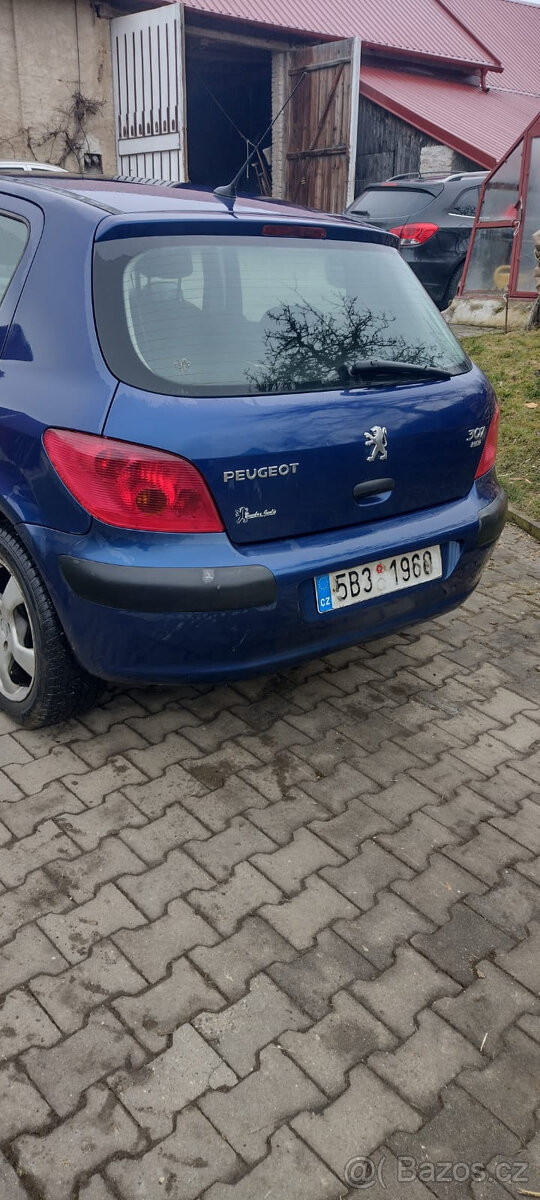 Peugeot 307, 2.0hdi, 66kw - 3