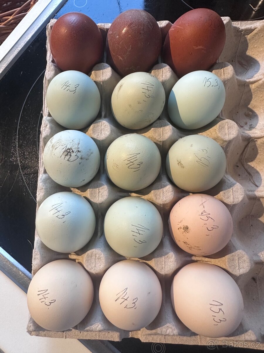 Nasadová vejce - 3