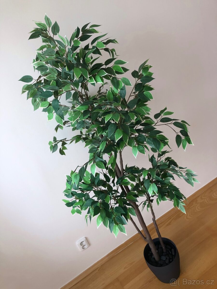 Umělá rostlina 180 cm - 3