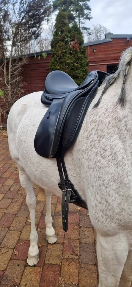 Drezurní sedlo Rhode x Thetis - 3