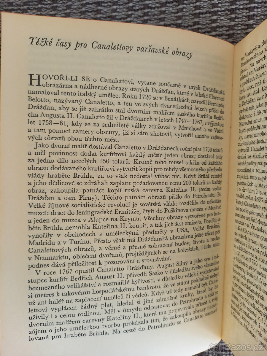 Dívka s perlou. - 3