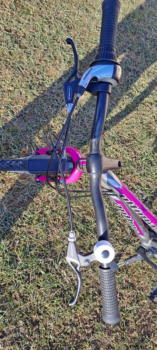 Author Ultima 24" - TOP STAV - 3