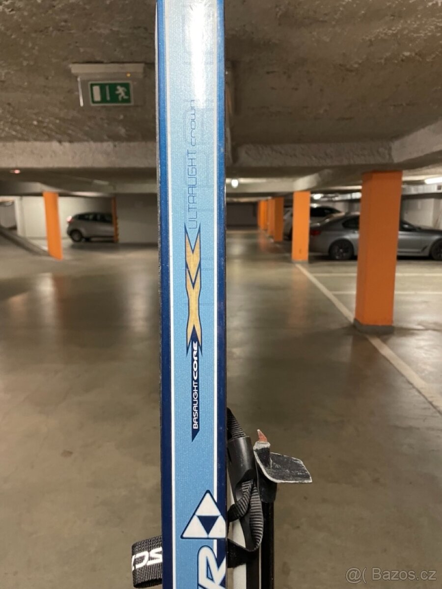 Bezky + hole Fisher - 3