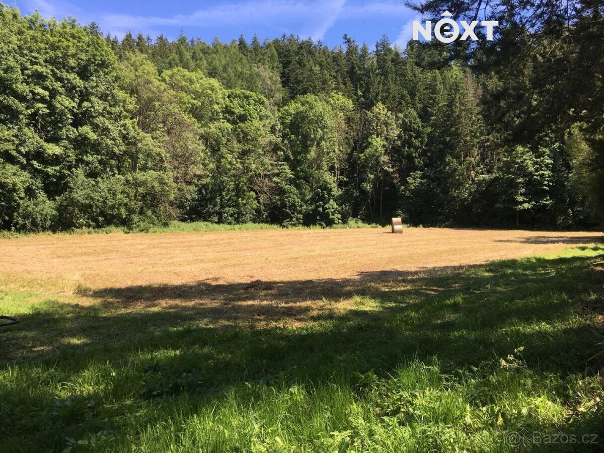 Prodej pozemek Louky, 6060㎡ - 3