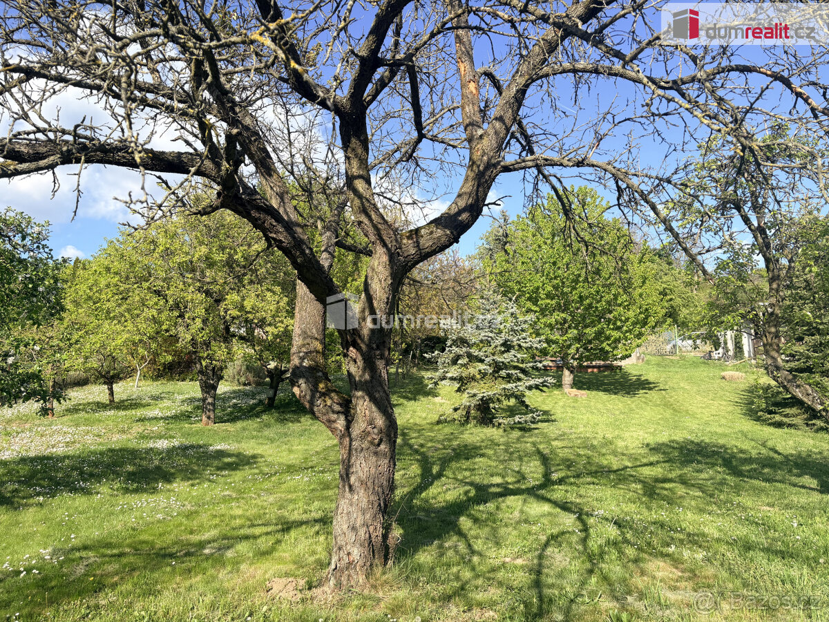 Zahrada "Za Kasárnami" Mikulov - 3