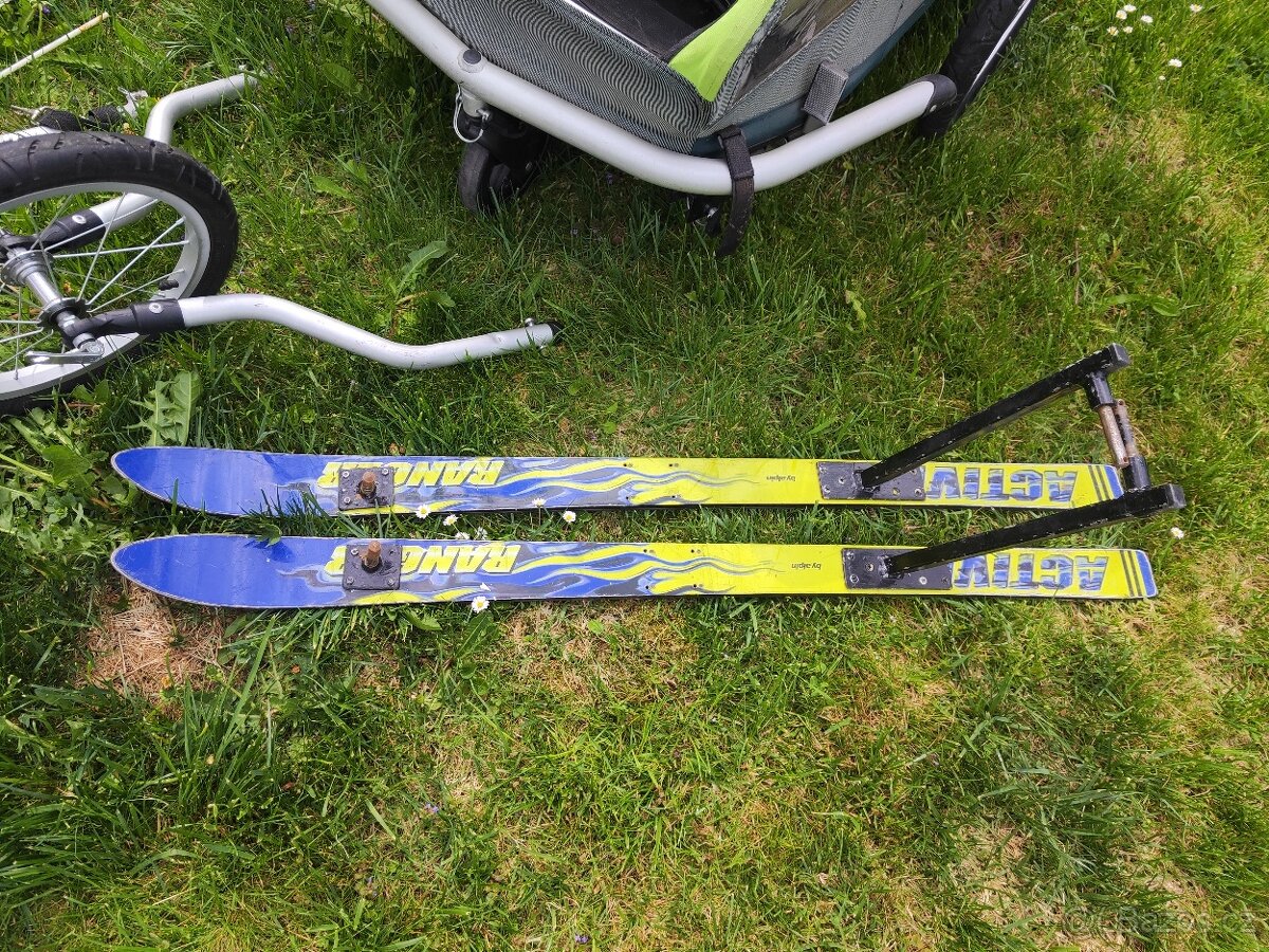 Croozer pro 2 - 3