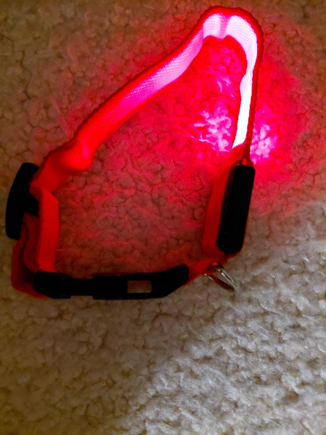 Prodám LED obojek pro psa - 3