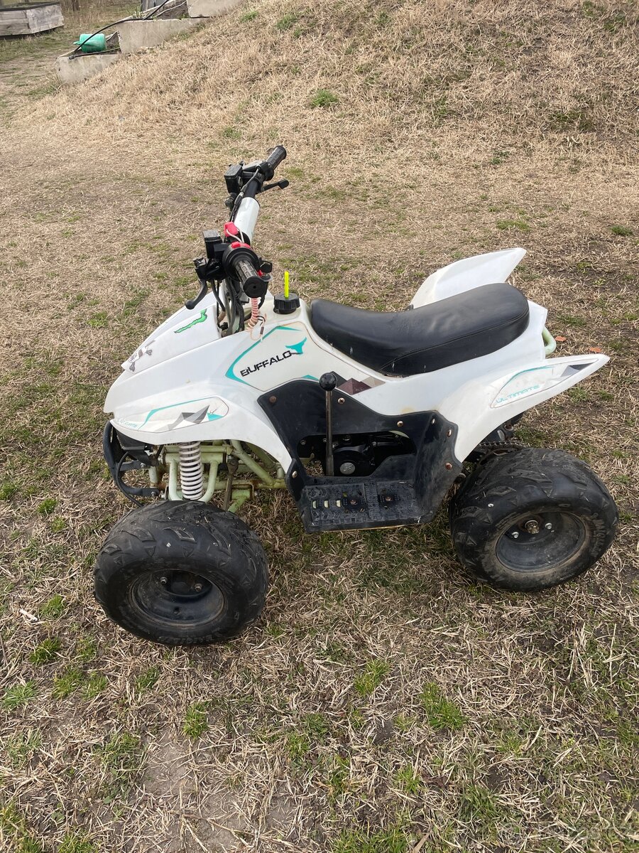Čtyřkolka buffalo 110ccm - 3