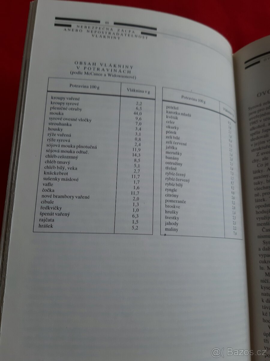 Vegetariánská kuchařka, 300 receptů - 3