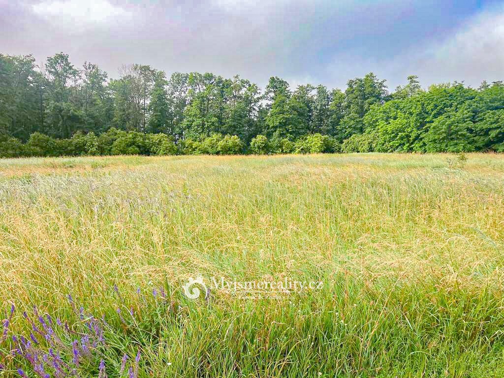 Ostatní