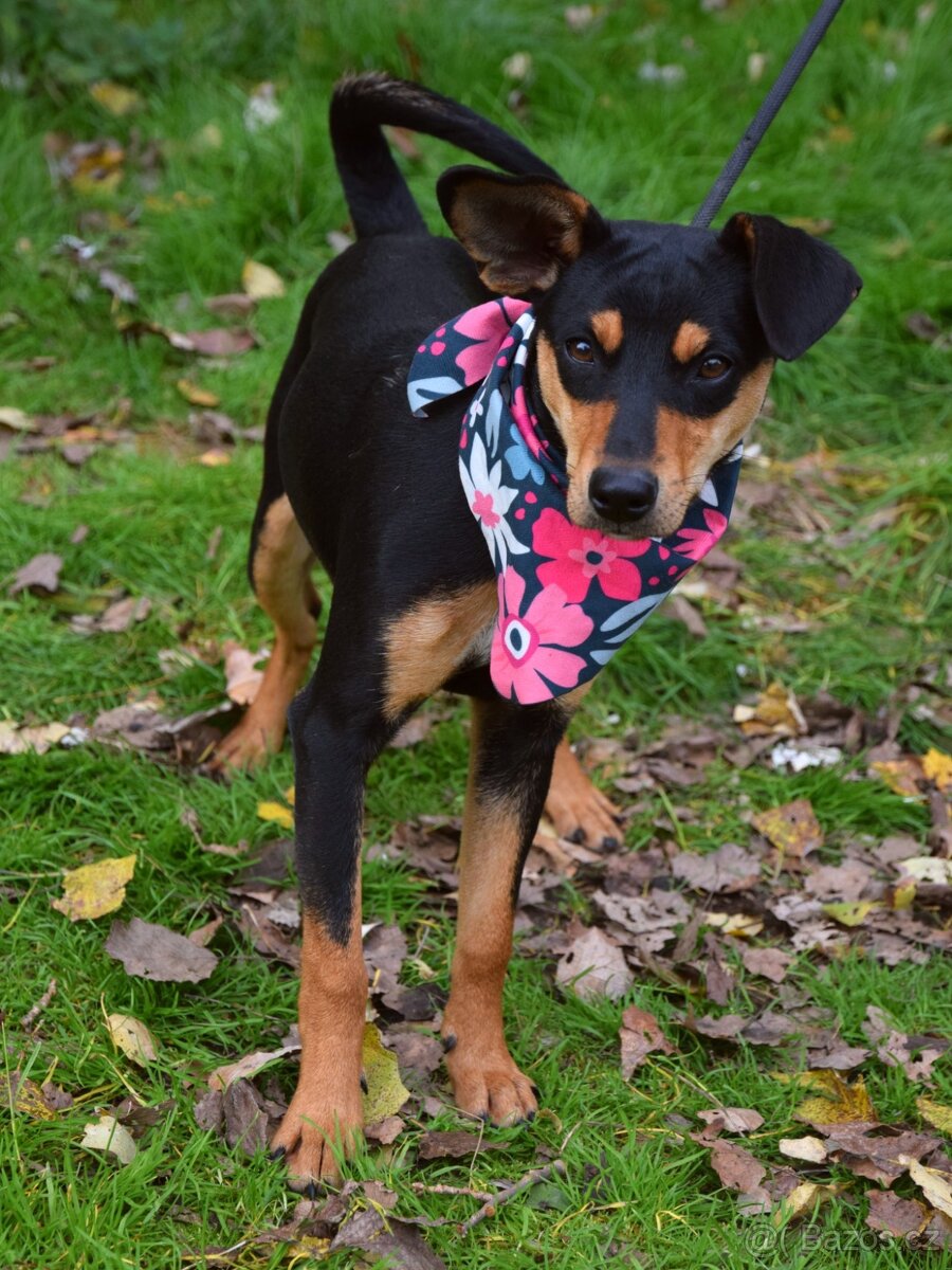 Vitalina rezervace - 3