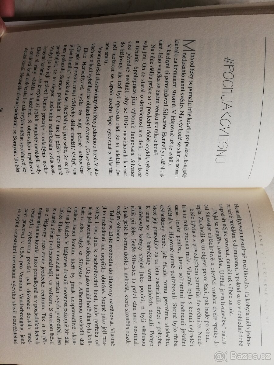 Tajemství stříbrné klisny - 3