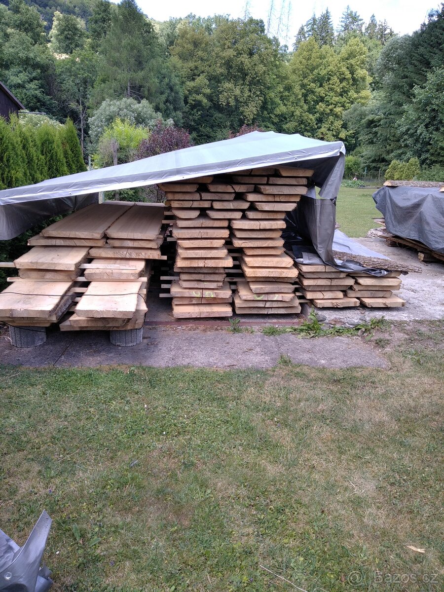 Fošny jasan, javor, dub, olše a břiza - 3