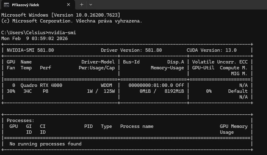 PNY NVIDIA Quadro RTX 4000 - 3