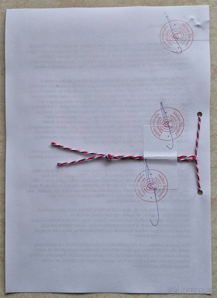 MINCE - VYHOTOVIM ZNALECKÝ POSUDEK - 3