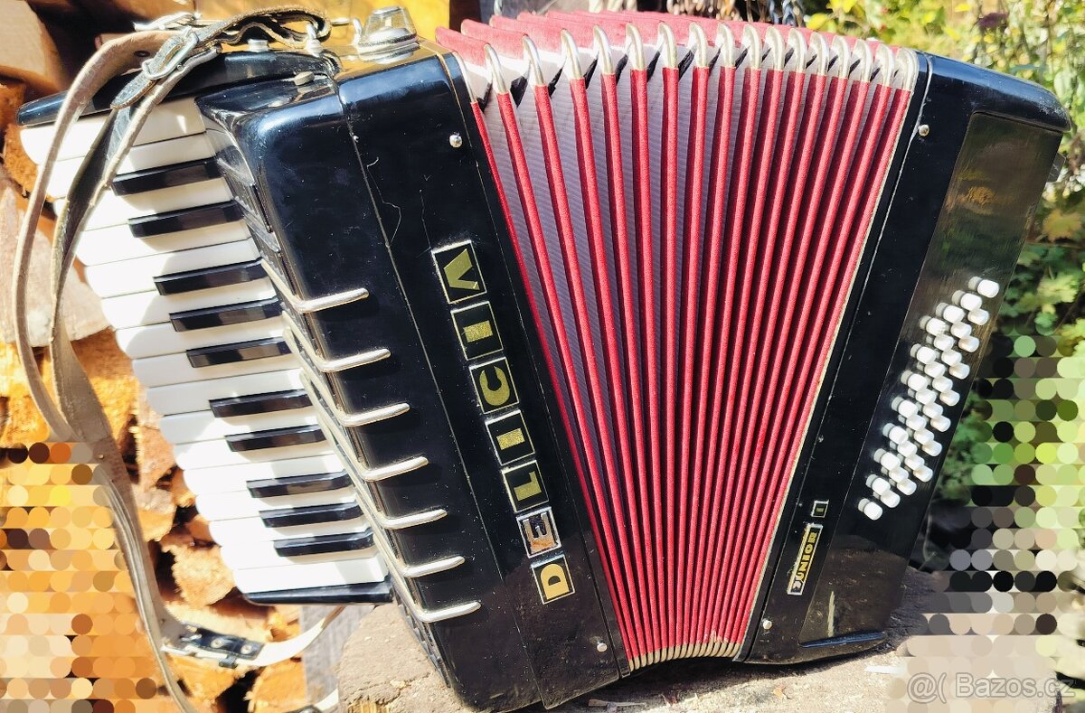 Harmonika Akordeon DELICIA Junior - 3