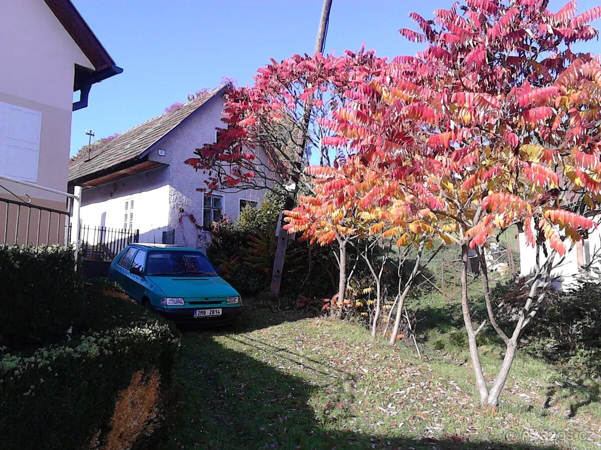 Prodej stavebního pozemku se zahradou o výměře 2.412 m2 - 3