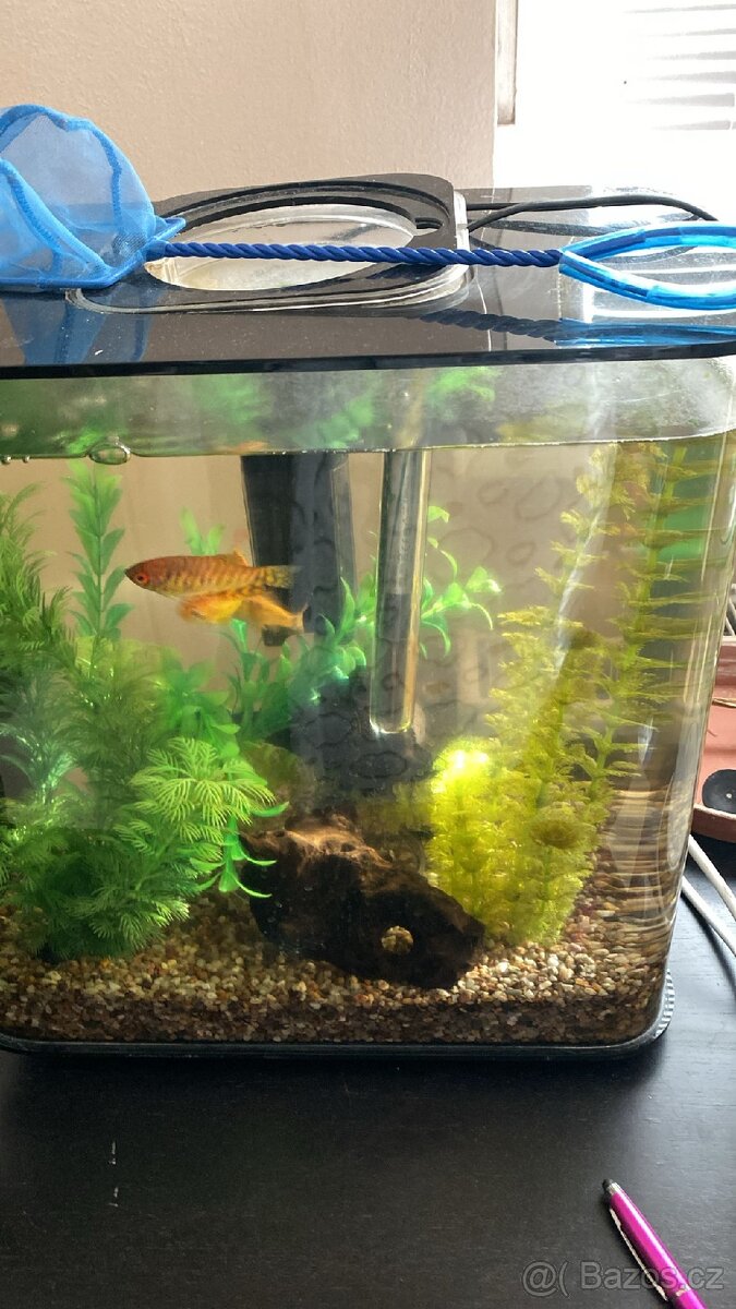 Akvárium biorb 30litru - 3