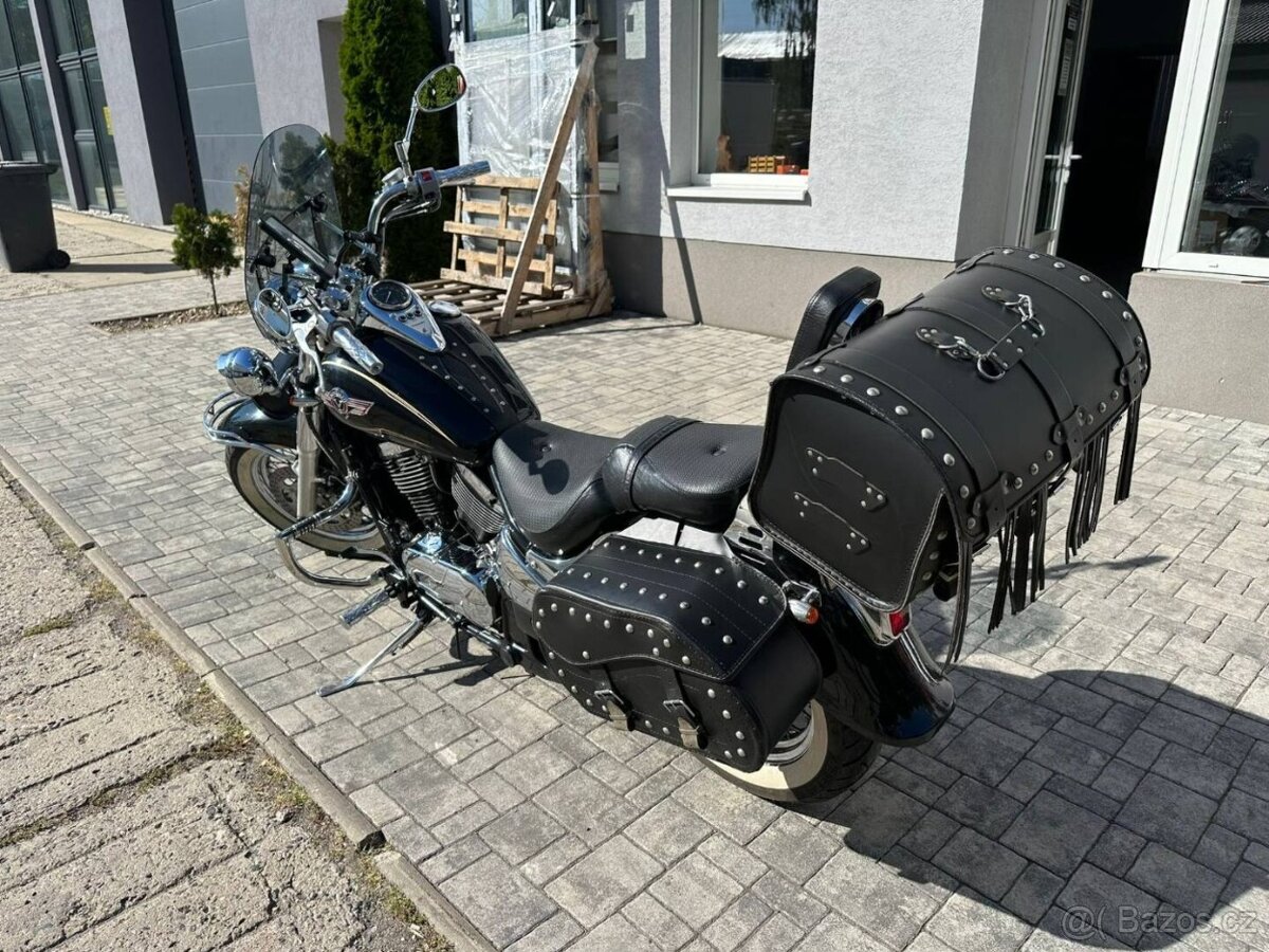 Kawasaki VN800 Classic - 3