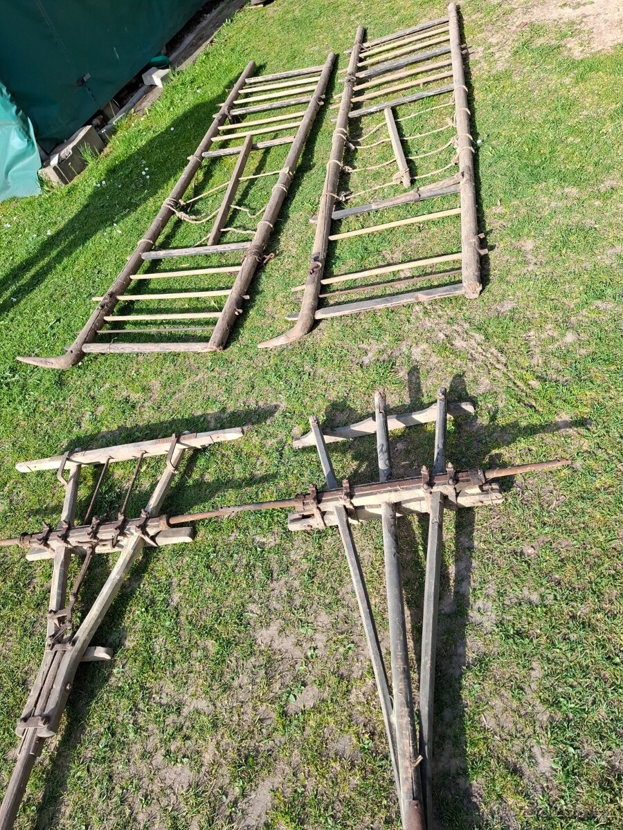 Žebřiňák - 3