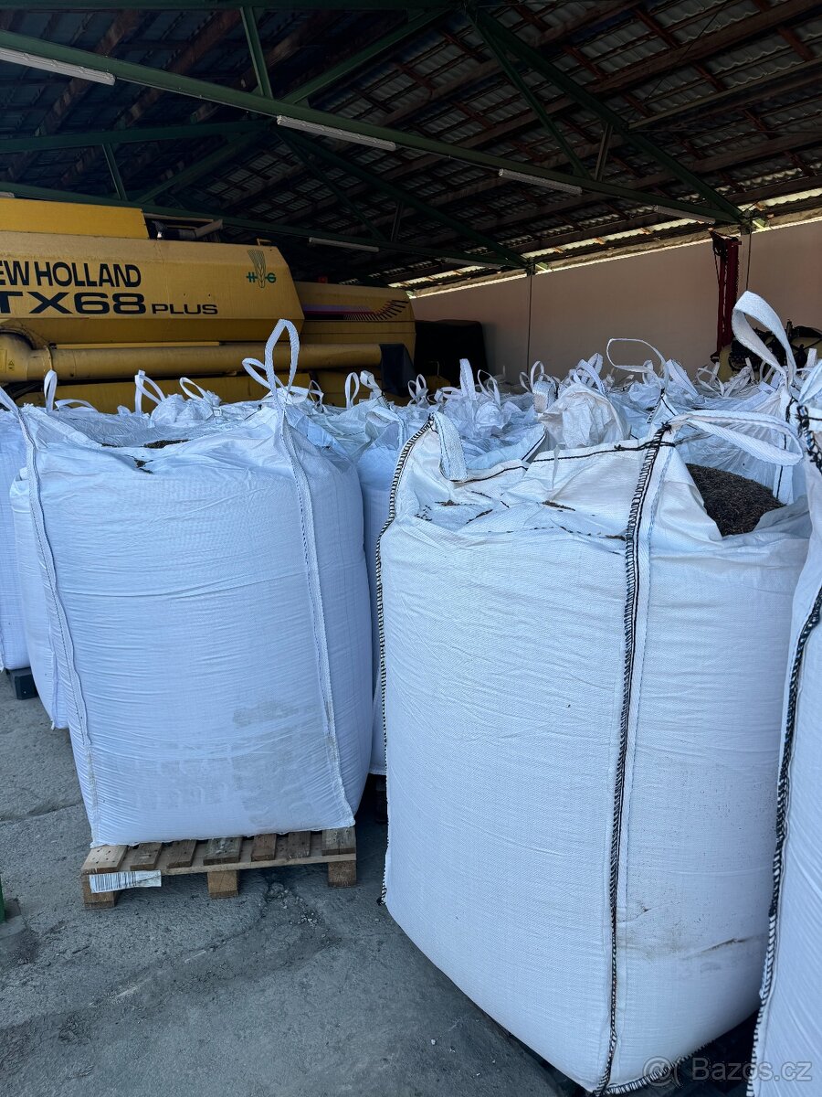 Černý oves, krmení, obilí, krmivo - 3