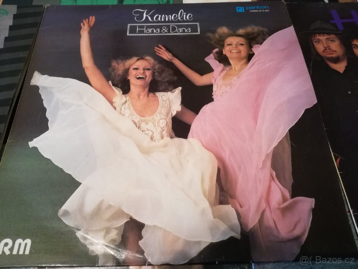 Prodám LP desky, rock, pop - 3