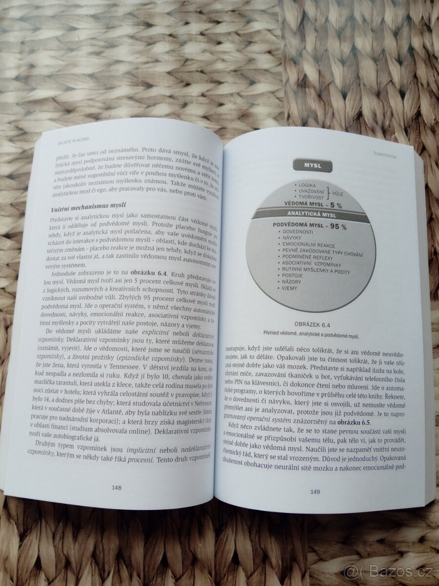 Vy jste placebo od Joe Dispenza - 3