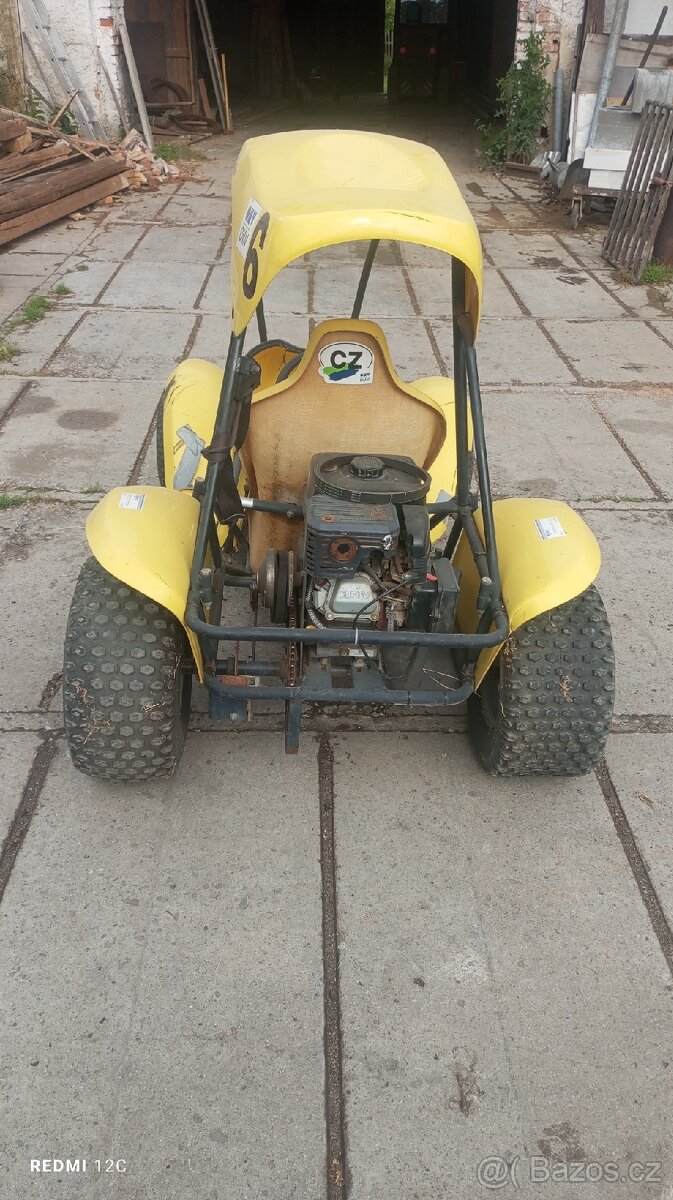 Buggy - 3