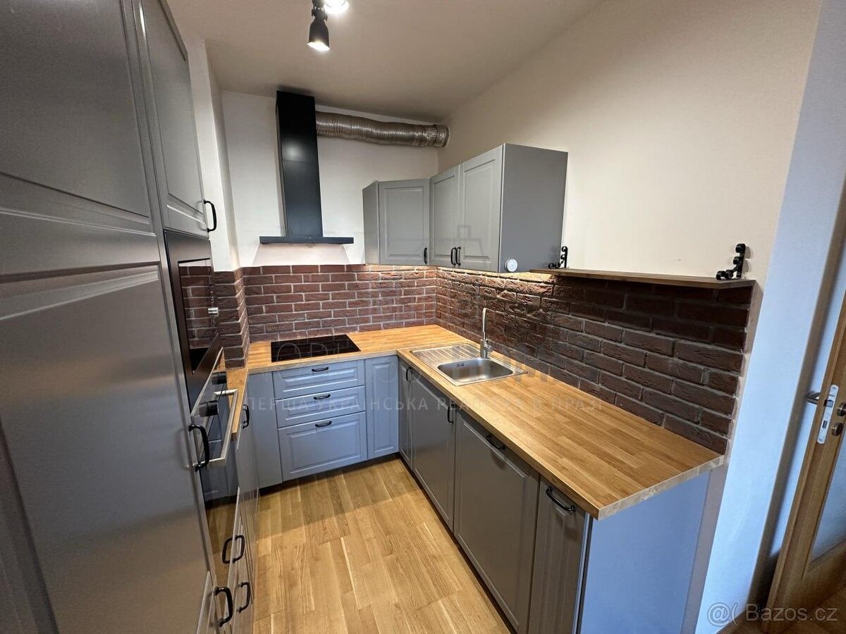 Prodej bytu 2+1 50 m s balkonem, sklepem a GS - 3