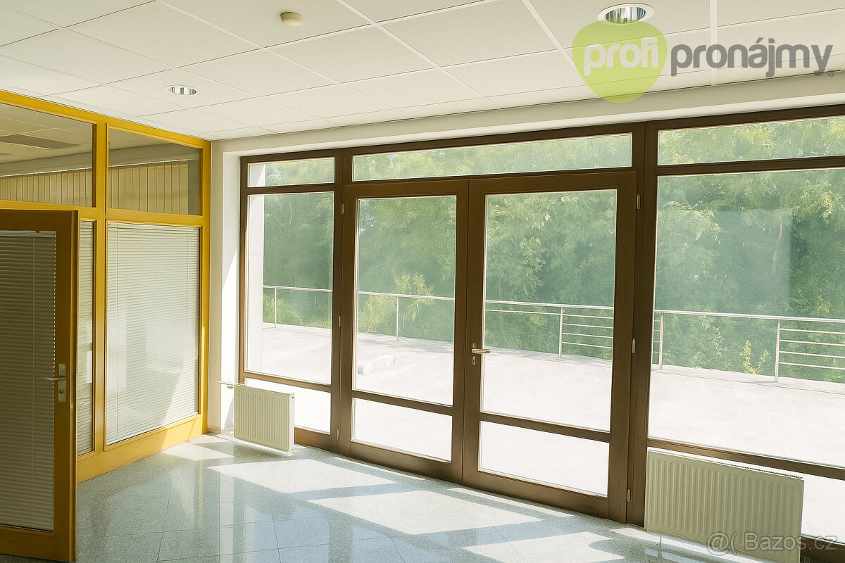 Pronájem obchodního prostoru 43 m² - 3