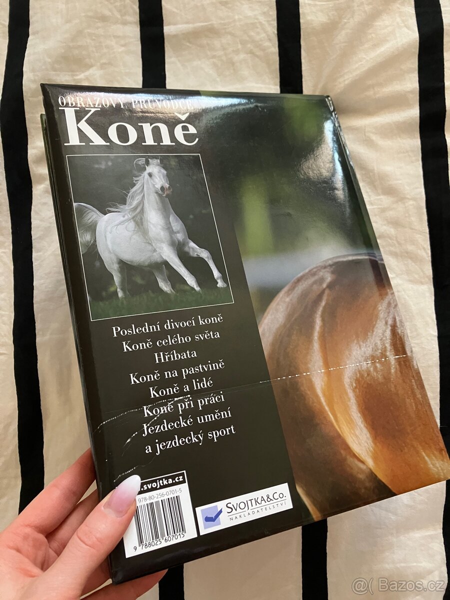 Kniha Koně - 3