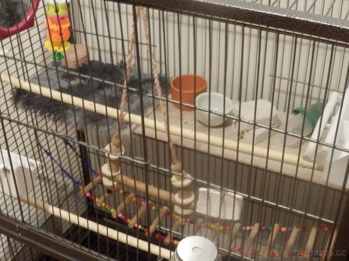 Klec pro papousky - 3