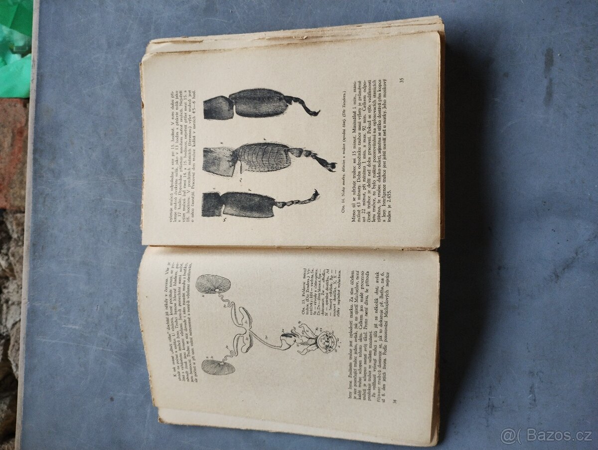 Stará kniha včelařství - 3