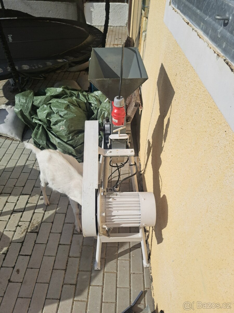 Srotovnik na obili - 3