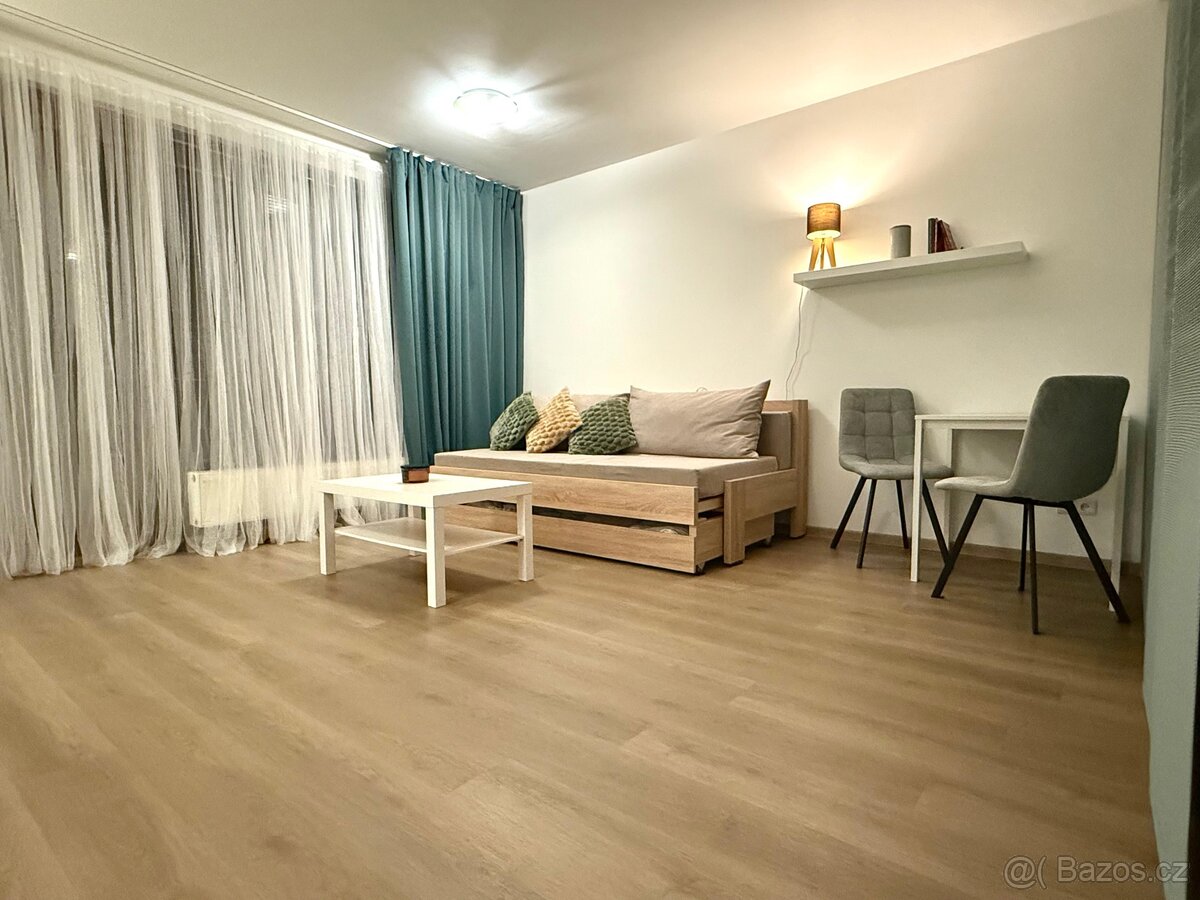 Pronájem bytu 1+kk (44m + 4m balkón) - 3