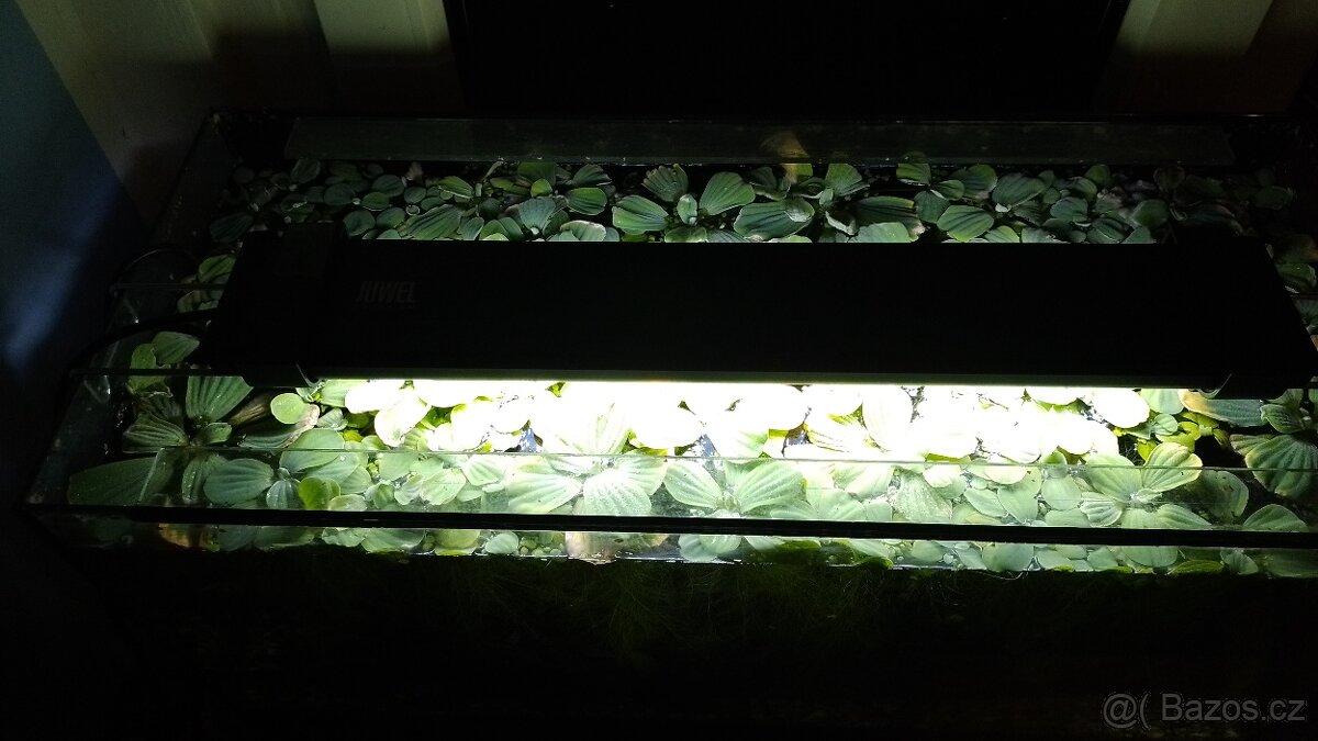 Akvárium 70l, světlo Juwel, filtr Eheim - 3