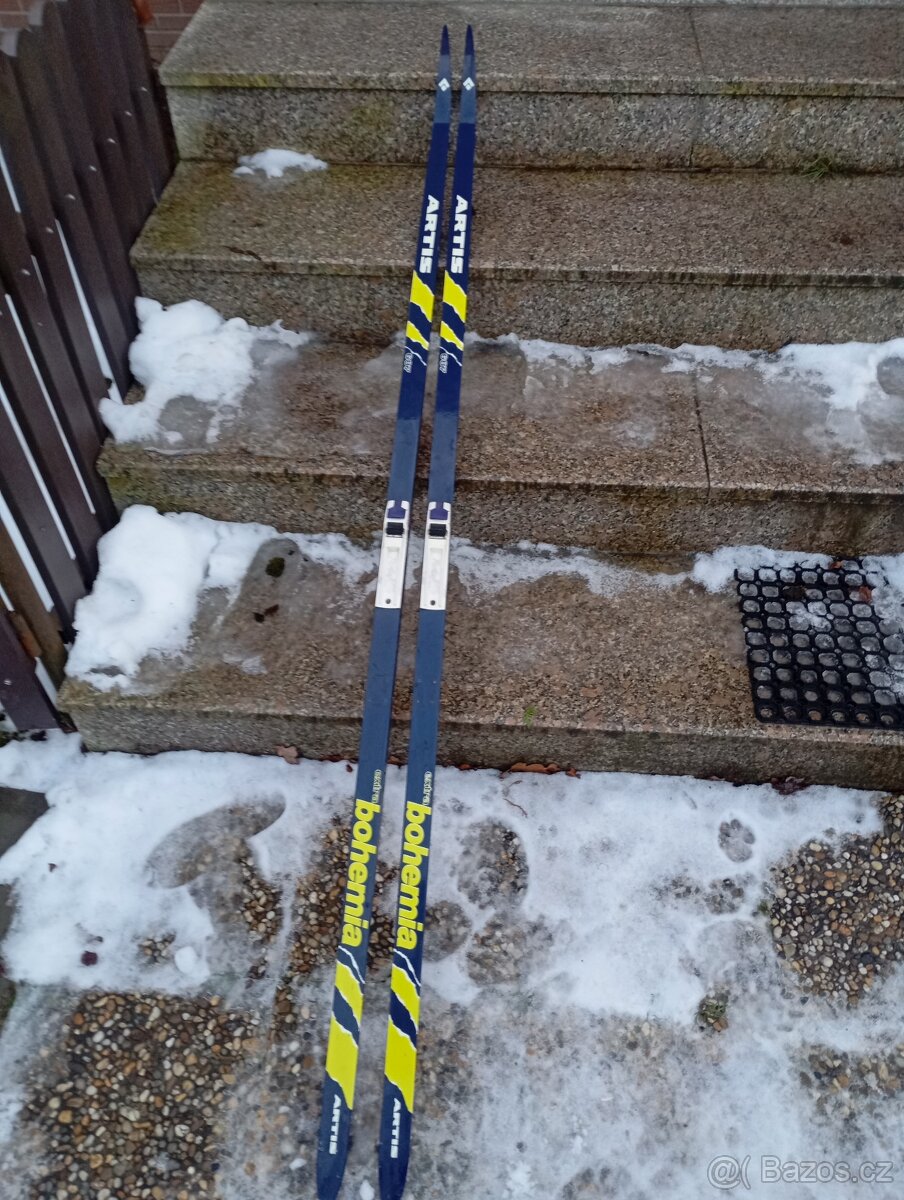 Běžky Artis Bohemia - 3