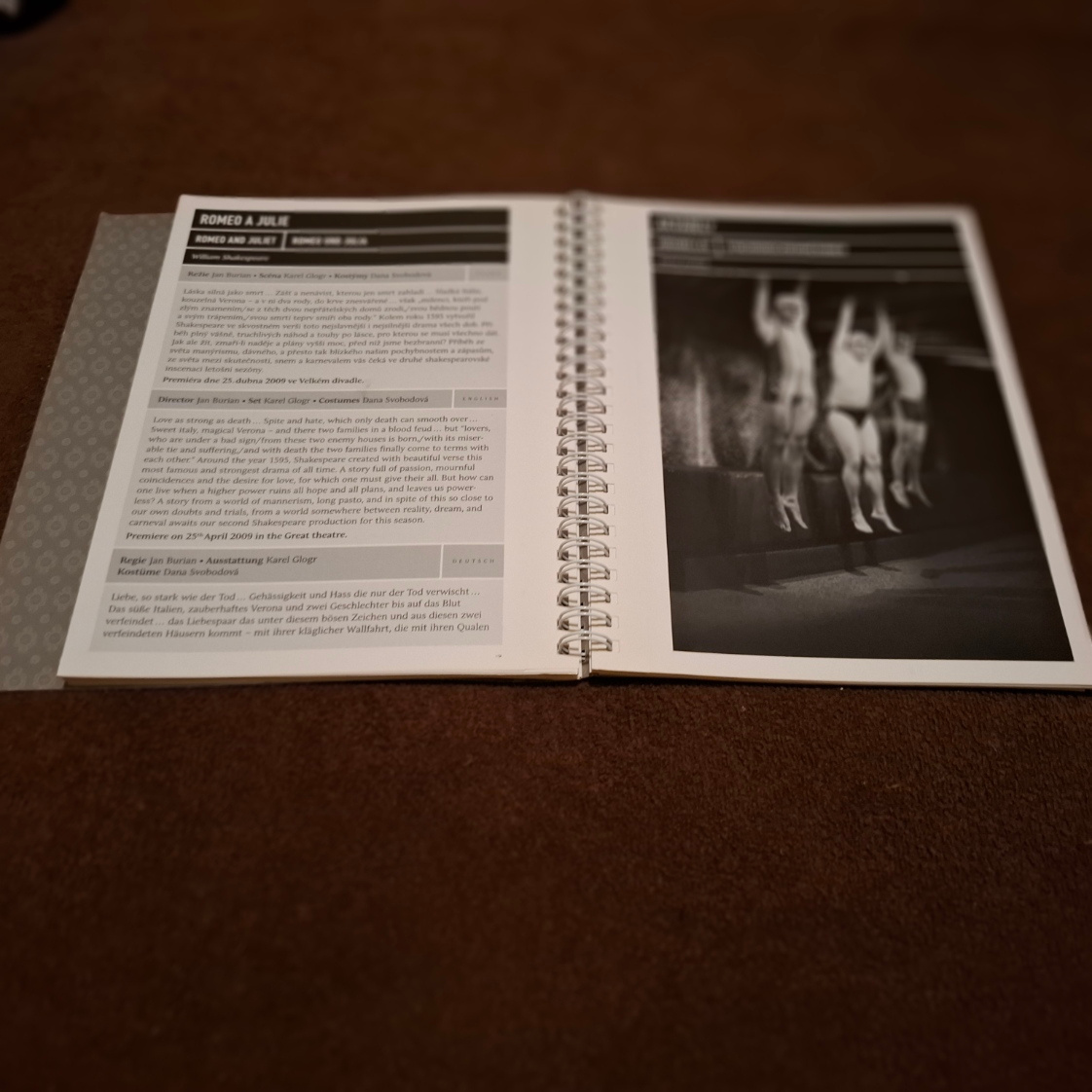 Program divadla Josefa Kajetána Tylla DJKT 2008/09 - 3