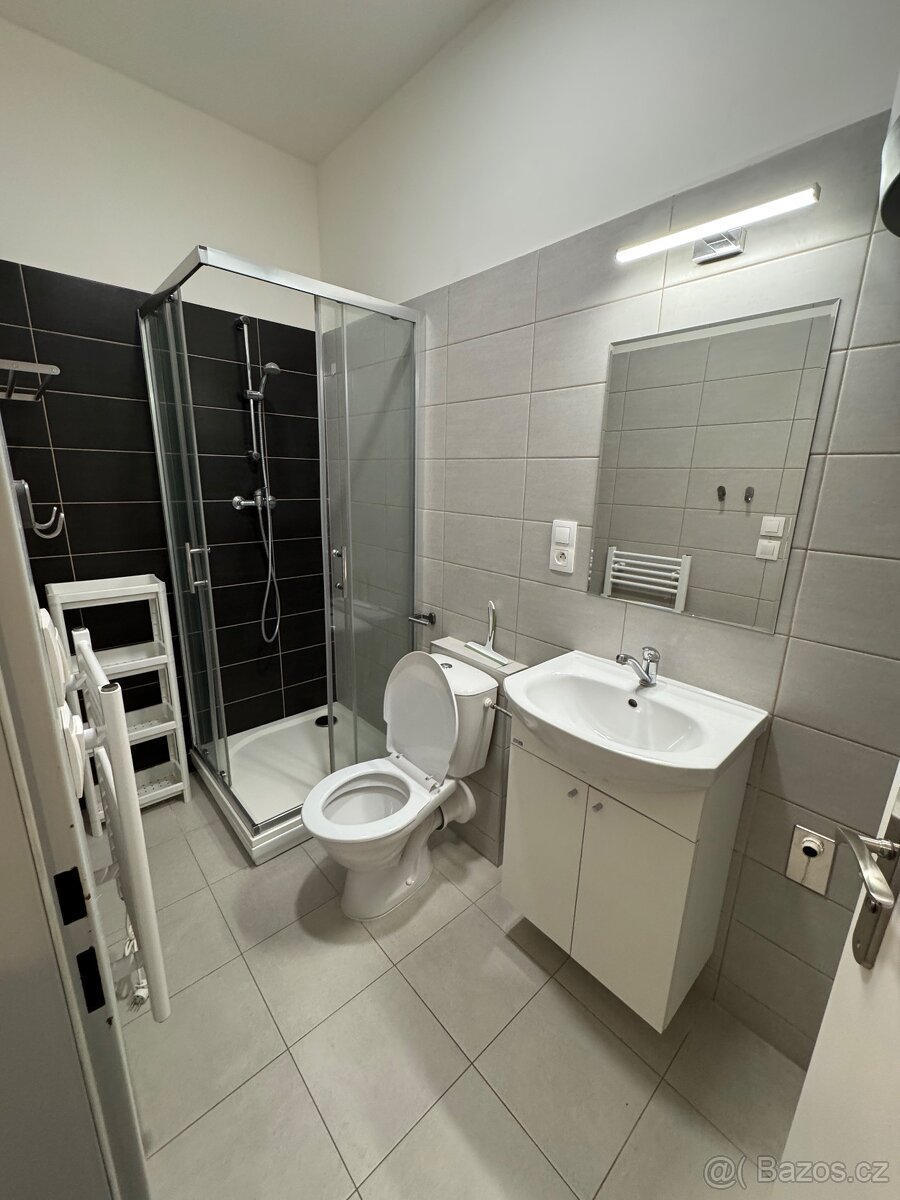 Pronájem bytu - 3