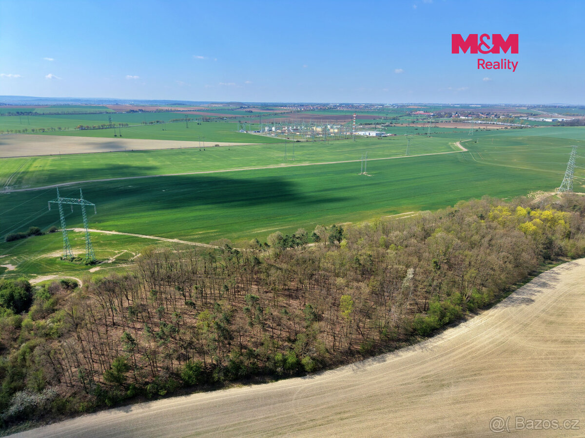Prodej lesa, 4629 m², Mochov - 3
