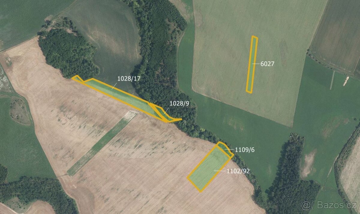 Zemědělská půda, prodej, Džbánice, Znojmo - 3